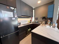 Mint Residences @ Jansen (D19), Apartment #582480001